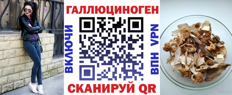 Галлюциногенные грибы Psilocybine cubensis  Купить закладки  Барыш 